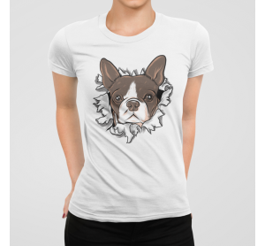Frenchie Cartoon Frenchie Cartoon